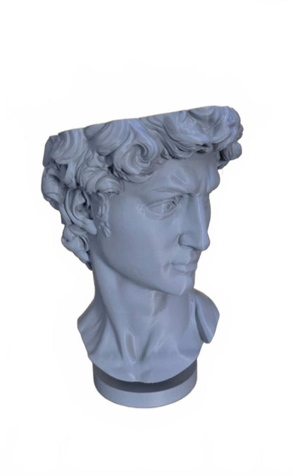 DAVID Bust Sculpture Planter Roman Home Decor