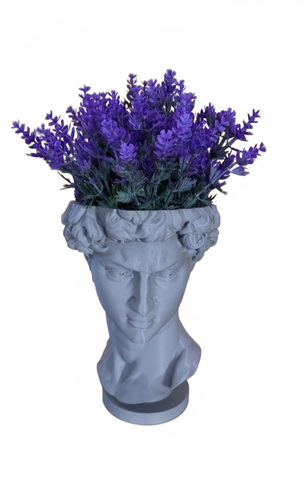 DAVID Bust Sculpture Planter Roman Home Decor