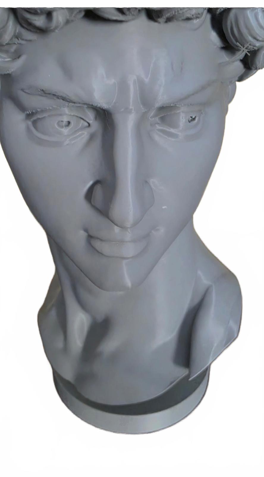 DAVID Bust Sculpture Planter Roman Home Decor