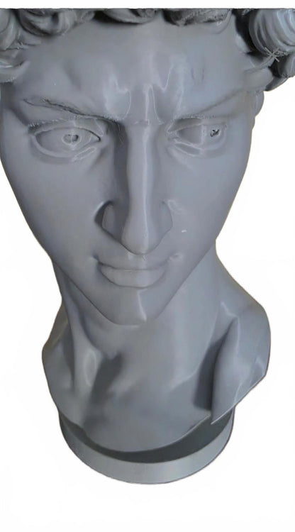 DAVID Bust Sculpture Planter Roman Home Decor